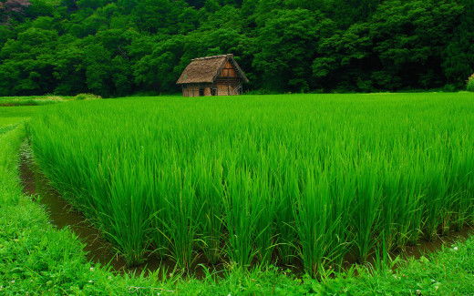 109650 (a): :1920x1200